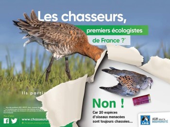 Affiche LPO chasse